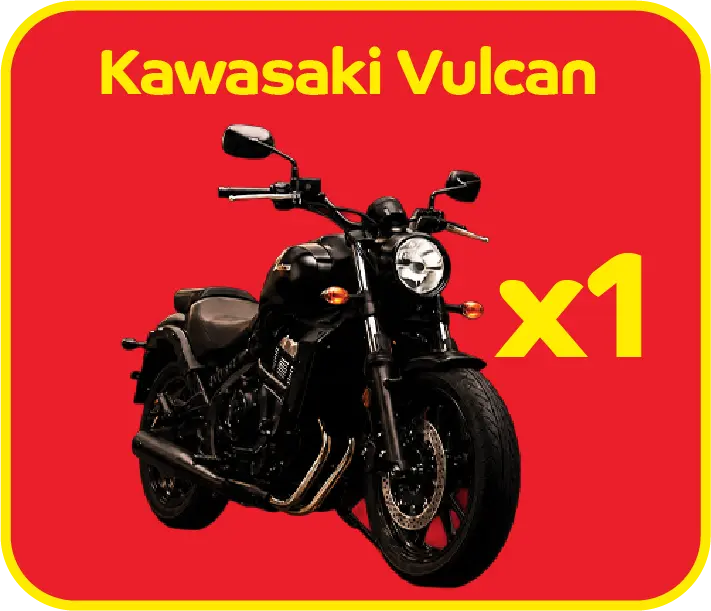 Kawasaki Vulcan x1